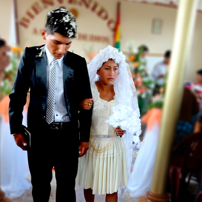 template by DevCRID http://www.devcrud.com/